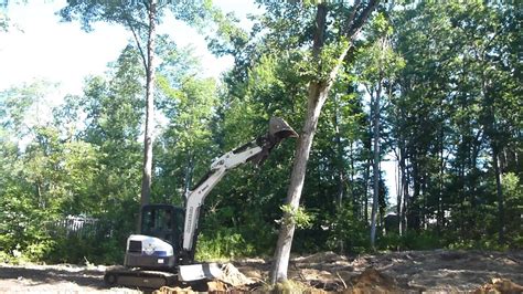 pushing over trees with mini excavator|mini excavator push over tree.